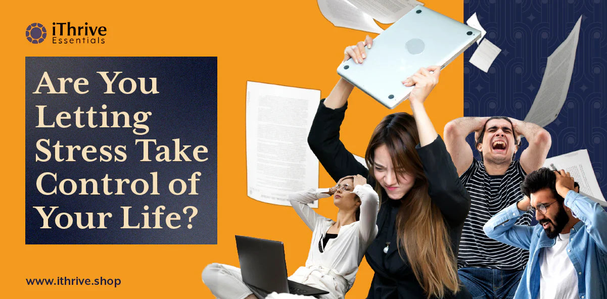 Stress and Longevity: Are You Letting It Shorten Your Life?