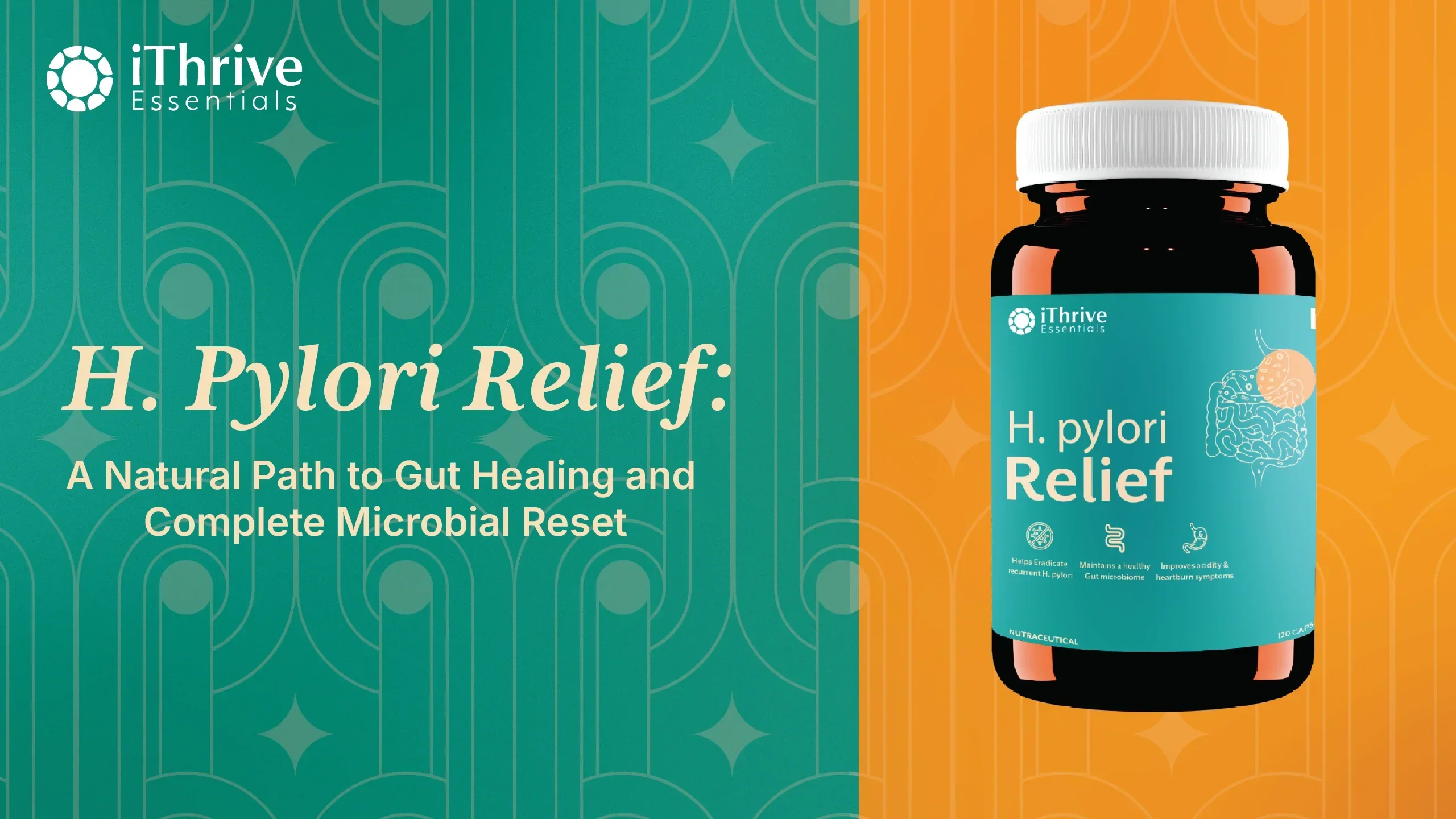 H. Pylori Relief: A Natural Path to Gut Healing and Complete Microbial Reset