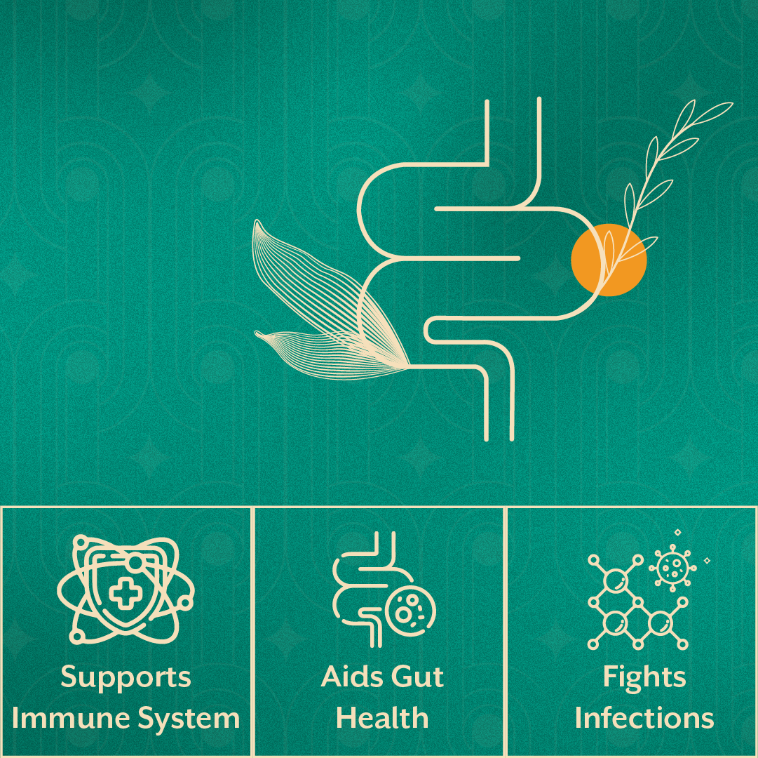 Immune Support - Strengthen Your Immunity | 120 Capsules