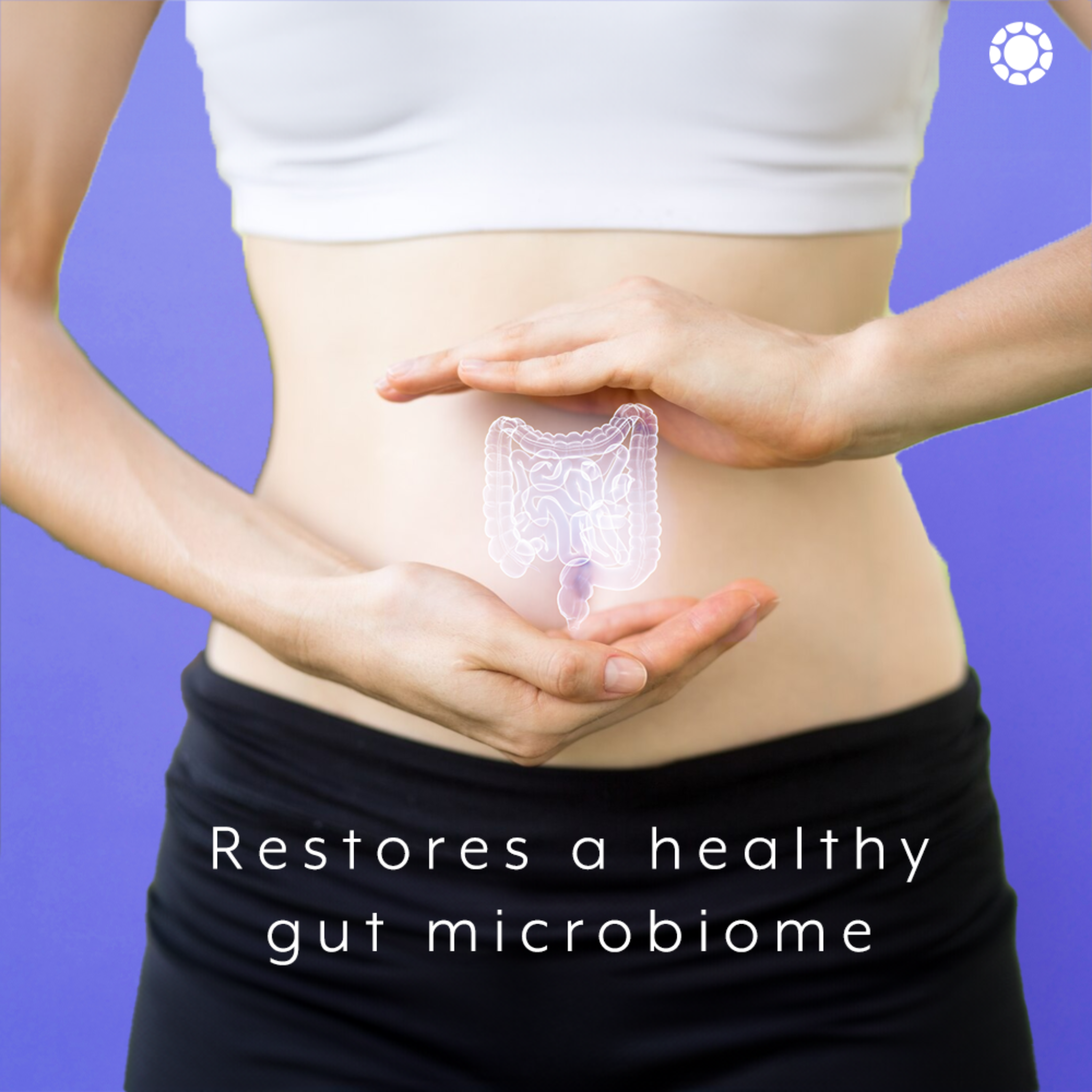 iThrive Essentials Probiotic with Prebiotics - 60 Capsules iThrive Essentials