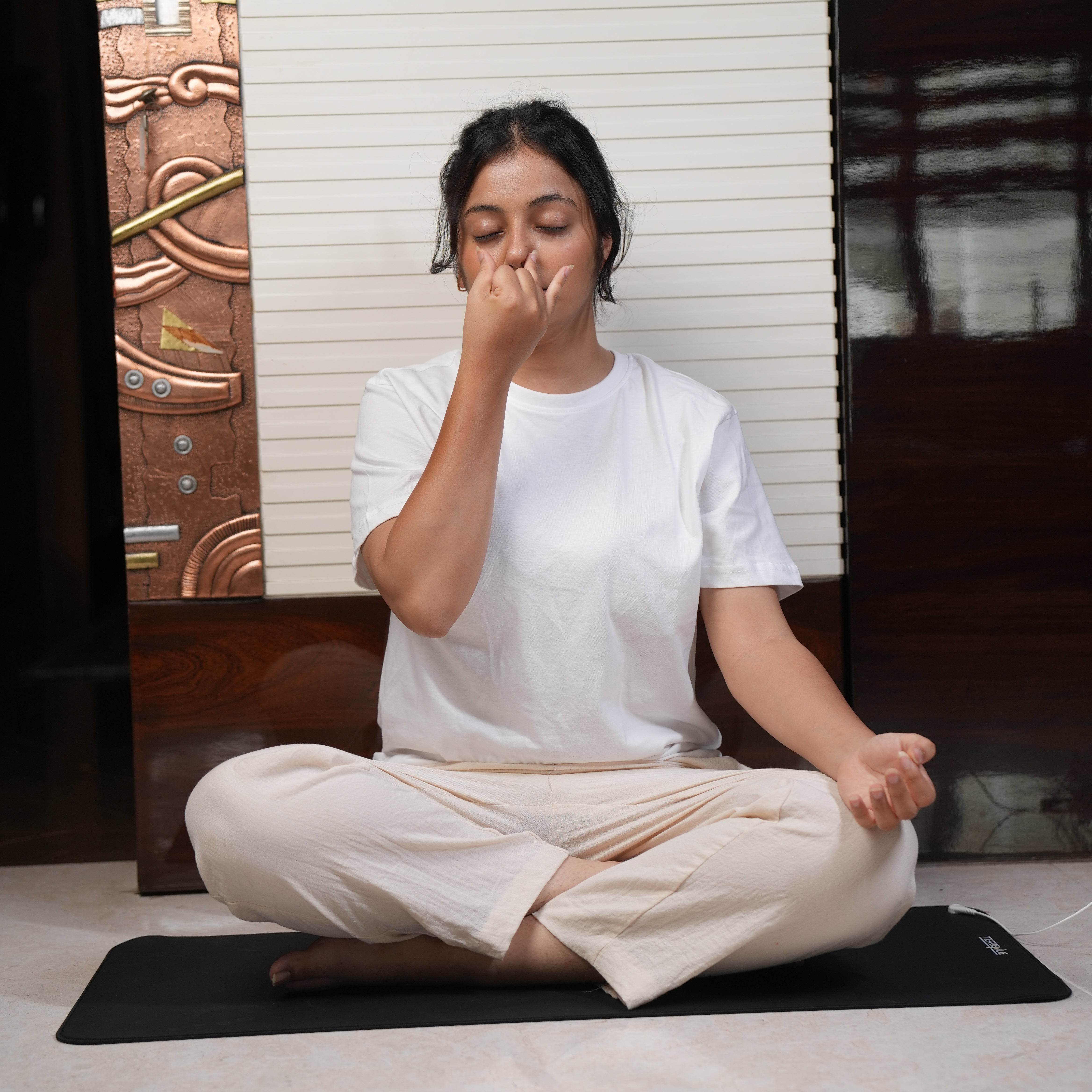 TerreNue Earthing Yoga Mat