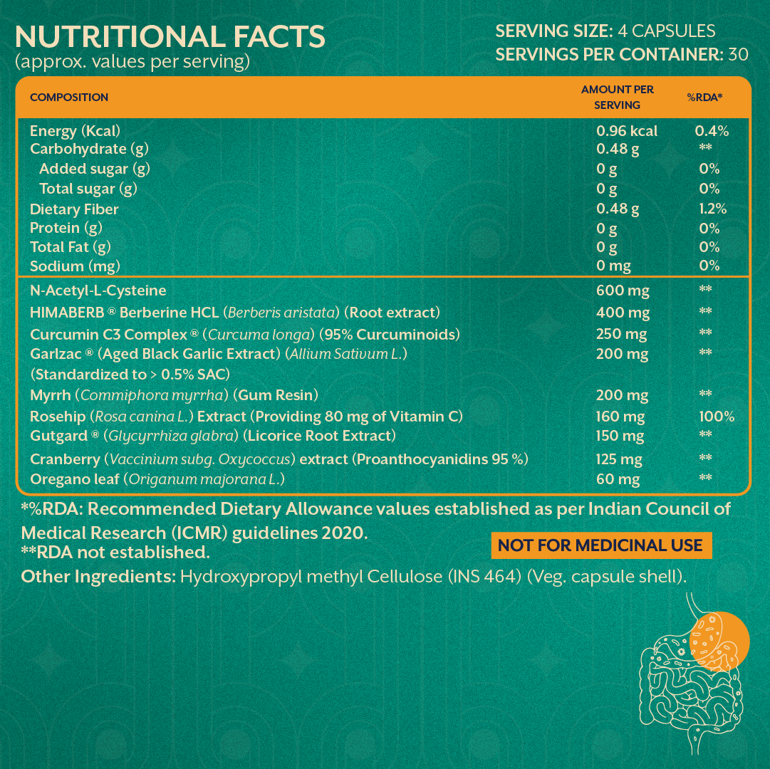 H Pylori Relief - 120 Capsules